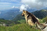 Cima Alben (2020 m) in periplo dal Passo della crocetta il 26 luglio 2020- FOTOGALLERY